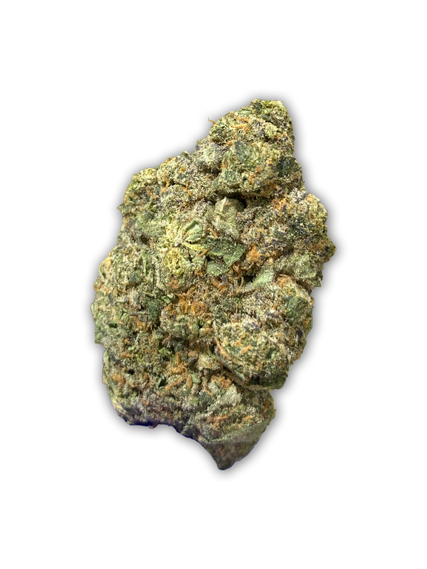 A big, beautiful bud of Mafia Funeral - Hybrid Strain - Exotic THCa Flower - 31.06%