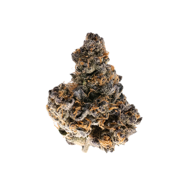 Purple Panty Dropper Indica Strain in amazing Exotic THCa Flower with 37.46% in 3.5g @ StewartHemp.com