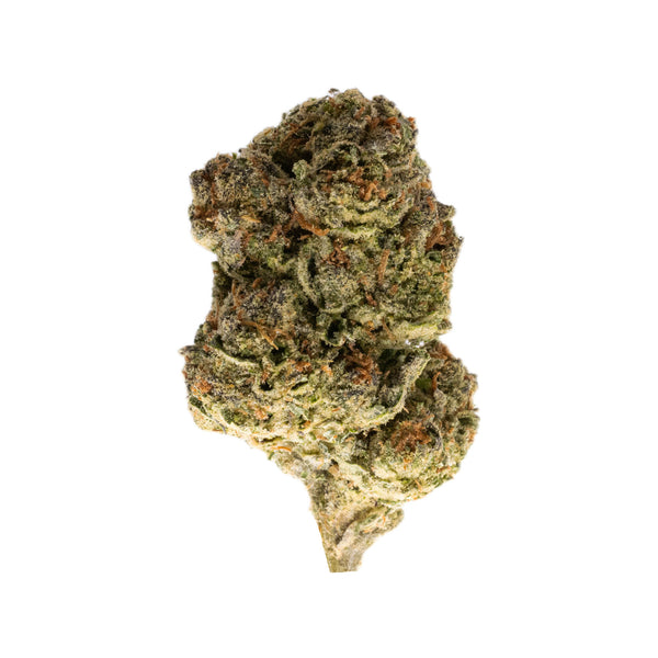 Willie Nelson - Sativa - High THCa Flower - 39.24%, from Stewart Hemp, pictured here enlarged for maximum viewage