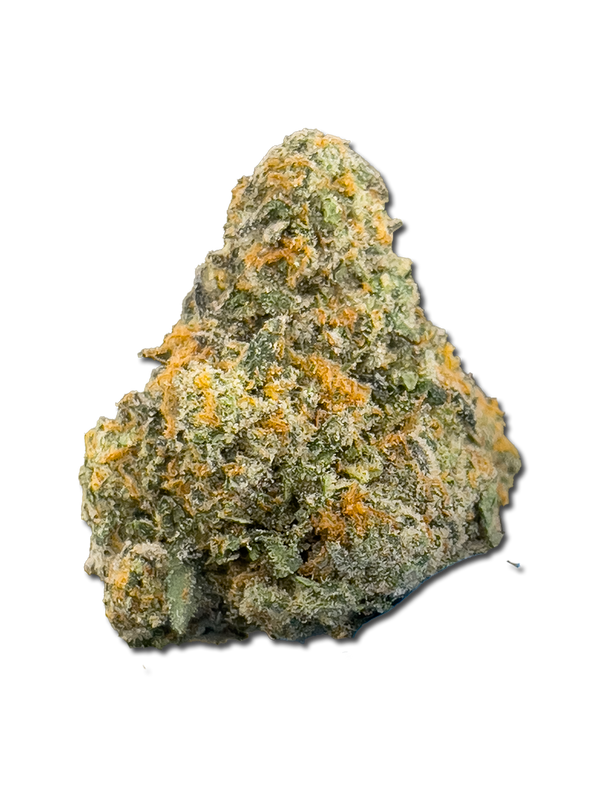 Memory Loss - Sativa - High THCa Flower - 42.37%, seen here enlarged for trichome coverage and bud structure appearance, at StewartHemp.cpom